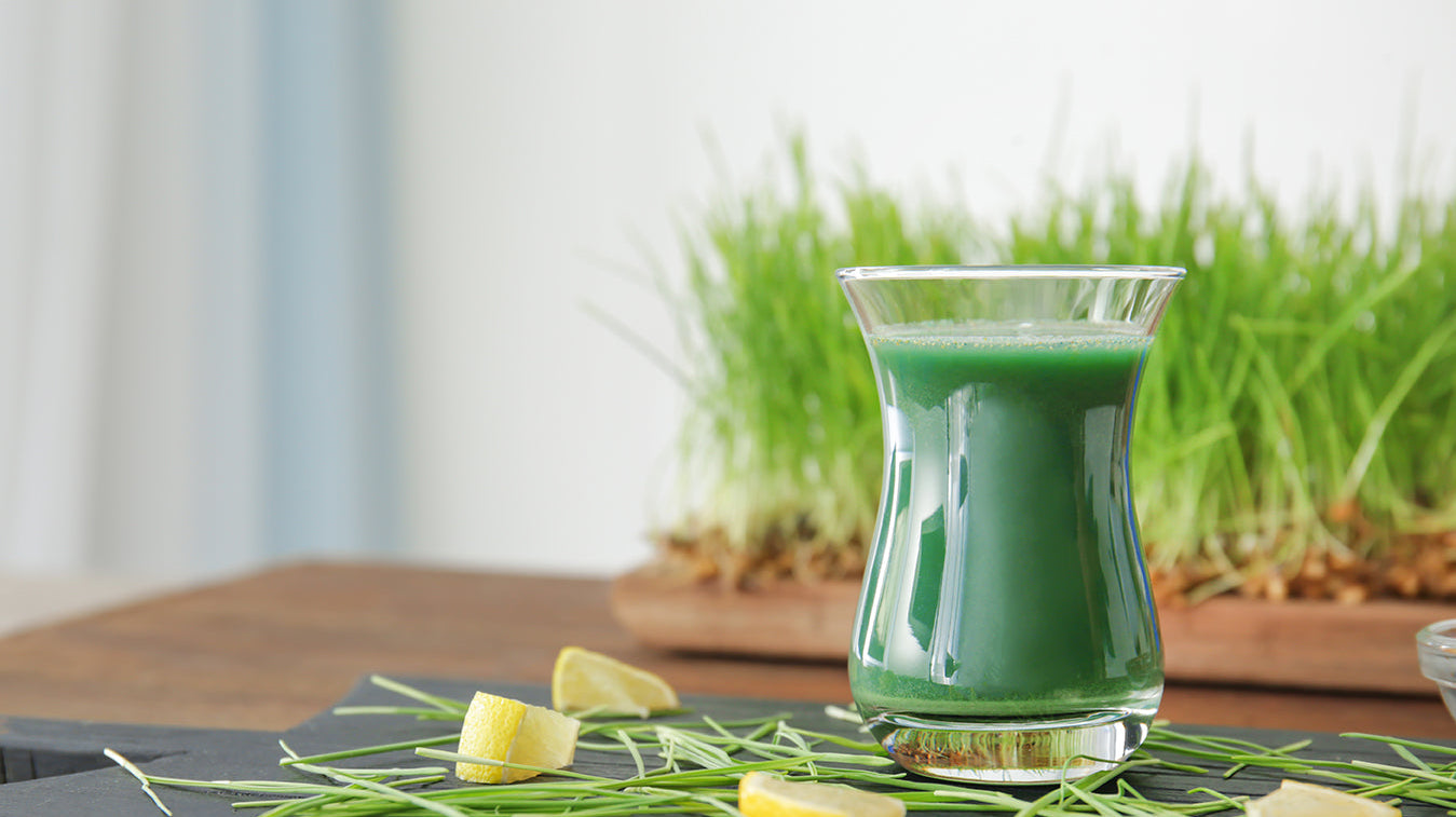 12 Recipes for Boosting Your Immunity