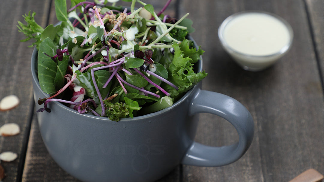 Vegan Mayonnaise