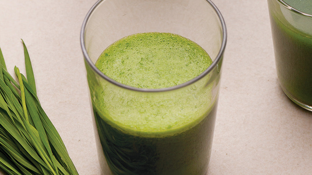 Detox Wheat Sprouts Juice