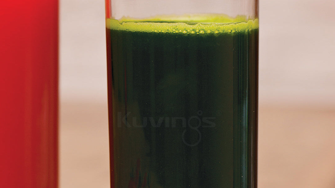 Water Dropwort and Apple Juice