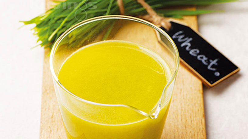 LOHAS Wheatgrass Juice