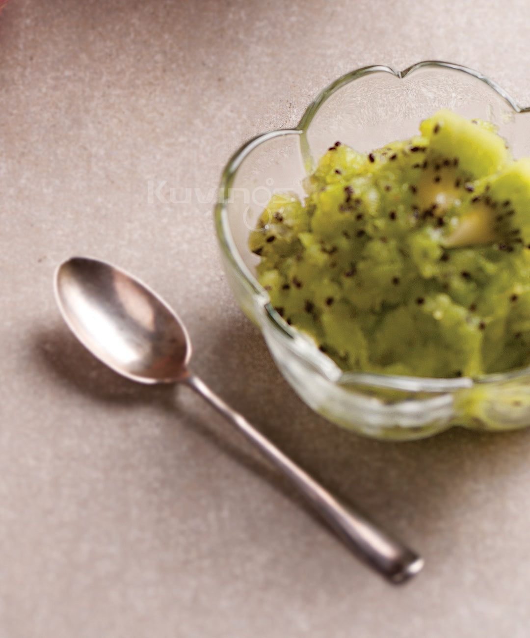 Kiwi Mint Ice Cream